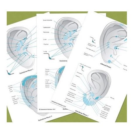 Set Of 5 Auricular Charts