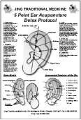 Jing Traditional Medicine 7 Point Detox Ear Chart